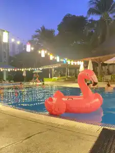 Ibis Phuket Kata - 25