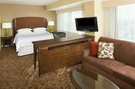 Sheraton Dallas - 37