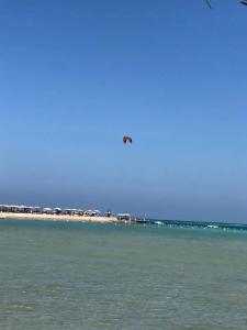 Magic Beach Hurghada - 19