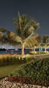 Th8 Palm Dubai Beach Resort Vignette Collection, an IHG - 88