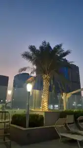 Ibis Fujairah - 96