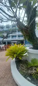 Andaman Seaview, Karon Beach - SHA Plus - 83