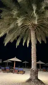 Sofitel Bahrain Zallaq Thalassa Sea & Spa - 94