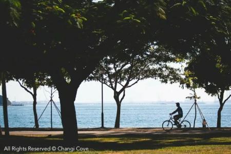 Changi Cove - 11