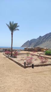 Happy Life Village Dahab - 87