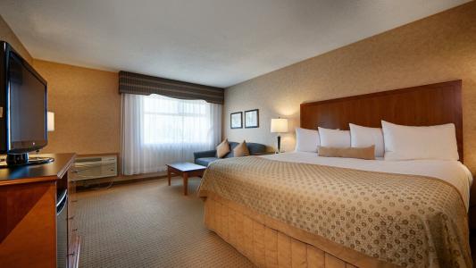 Best Western PLUS Langley Inn - 99