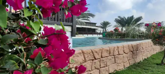 Rixos Bab Al Bahr - 2