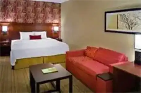 Courtyard By Marriott Jersey City Newport - 7