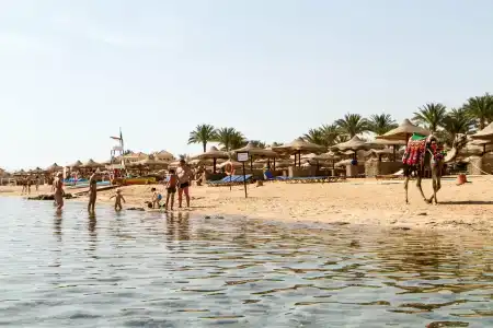 Cleopatra Luxury Resort Makadi Bay (Adults Only) - 62