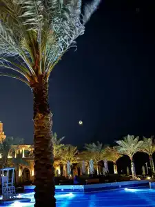 Rixos Premium Saadiyat Island - All Inclusive - 67