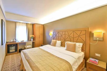 Ramada By Wyndham Istanbul Taksim - 89