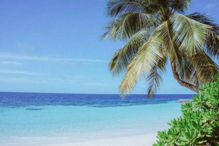 Royal Grove Waikiki - 17