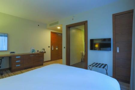 Hilton Garden Inn Eskisehir - 80