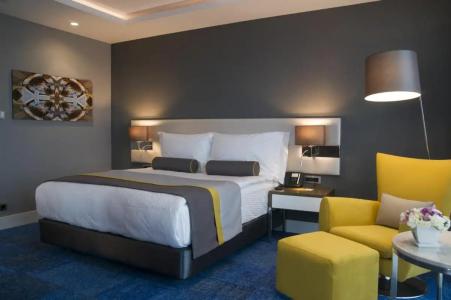 Radisson Blu, Kayseri - 49