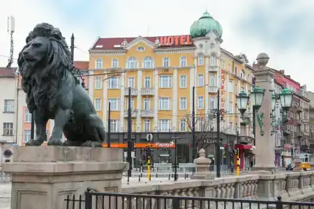 Lion Sofia - 3