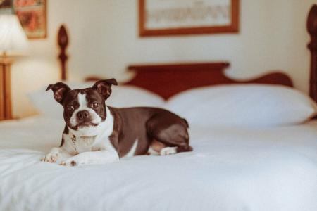 Royal Grove Waikiki - 20