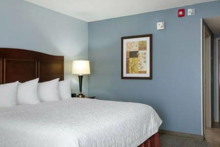 Hampton Inn Denver-International Airport - 88