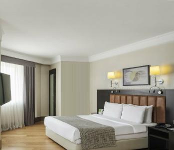 Holiday Inn Istanbul Old City, an IHG - 50