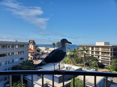 Inn by the Sea, La Jolla - 86