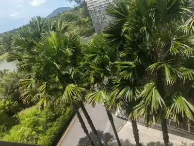 Wyndham Grand Nai Harn Beach Phuket - SHA Extra Plus - 49