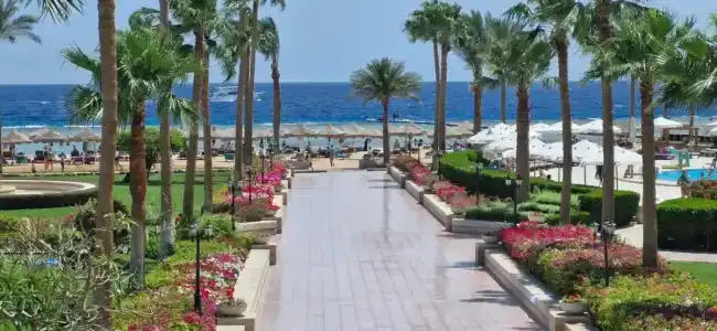 Baron Resort Sharm El Sheikh - 89