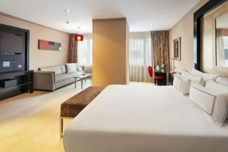 Melia Madrid Princesa - 48