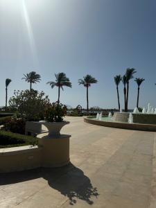 Baron Resort Sharm El Sheikh - 81