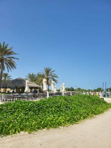 Radisson Blu & Resort, Abu Dhabi Corniche - 66