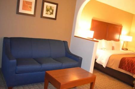 Comfort Inn Santa Fe - 38