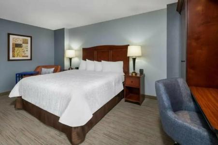 Hampton Inn Denver-International Airport - 13