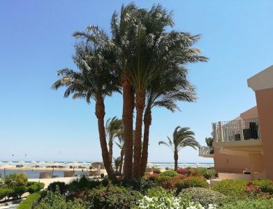 Movenpick Resort & Spa El Gouna - 79