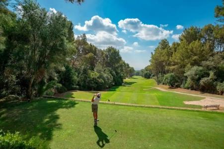 Sheraton Mallorca Arabella Golf - 97