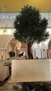 Rixos Bab Al Bahr - 98