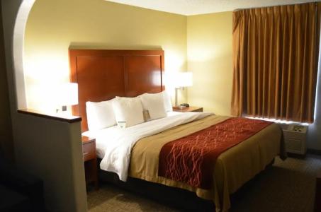 Comfort Inn Santa Fe - 66