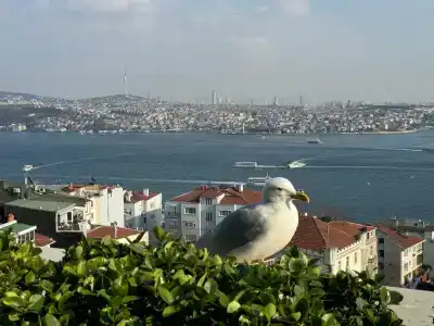 CVK Park Bosphorus Istanbul - 8