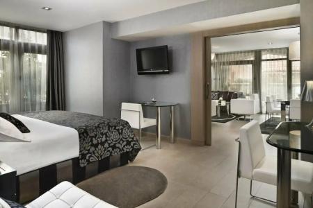 Melia Madrid Princesa - 14