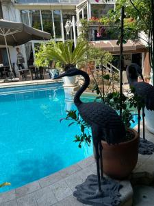 Villa Blanche & Garden Pool - 6