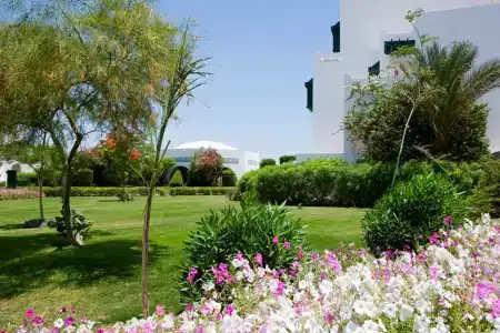 Mercure Hurghada - 17