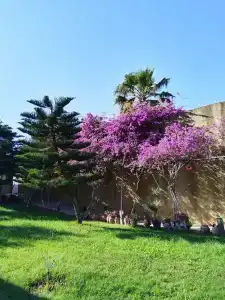 Haydarpasha Palace - 35