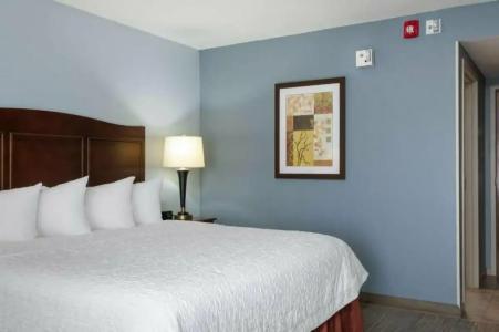 Hampton Inn Denver-International Airport - 26