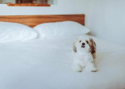 Royal Grove Waikiki - 73