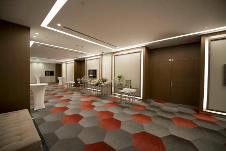 Radisson Blu, Kayseri - 75