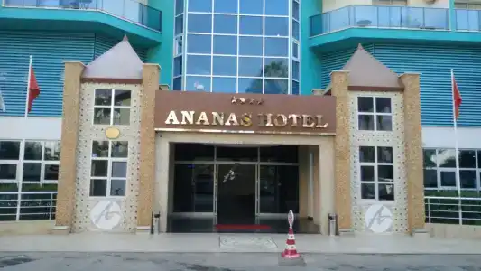 Ananas - 8