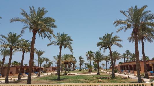 Nuweiba Club Resort - 4