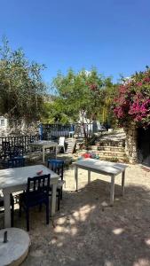 Zinbad Kalkan - 12