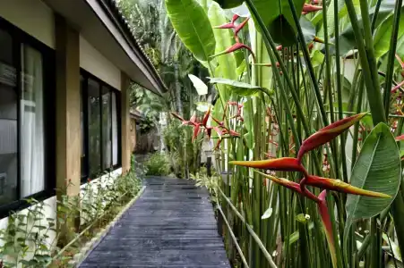 Phuket Island View Resort - SHA Extra Plus - 26