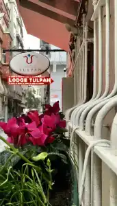 The House of Tulpan - 40