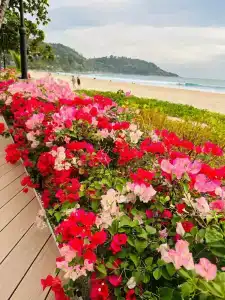 Katathani Phuket Beach Resort - SHA Extra Plus - 14