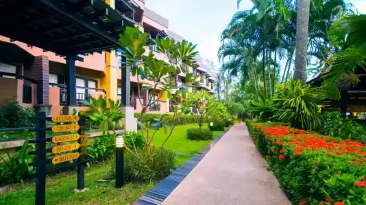 Phuket Island View Resort - SHA Extra Plus - 49