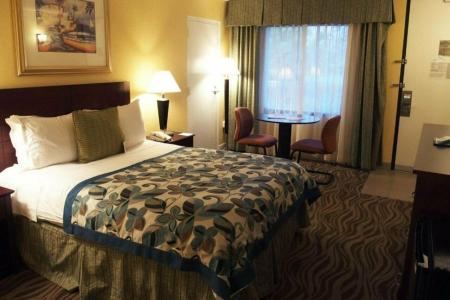 Wyndham Garden Lake Buena Vista Disney Springs(r) Resort Area - 28